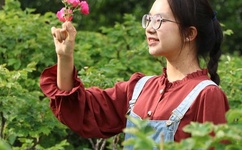 欧美又黄又粗A片